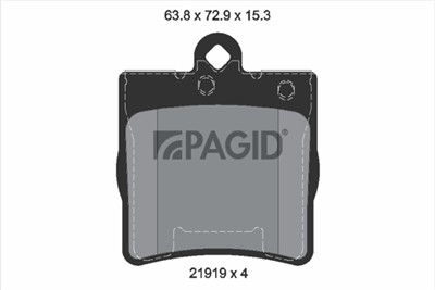 PAGID T1198N Číslo výrobce: 21919.