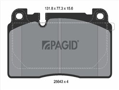 PAGID T2213N