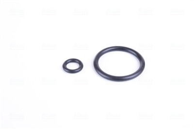 NISSENS 69710 EAN: 5707286385054.