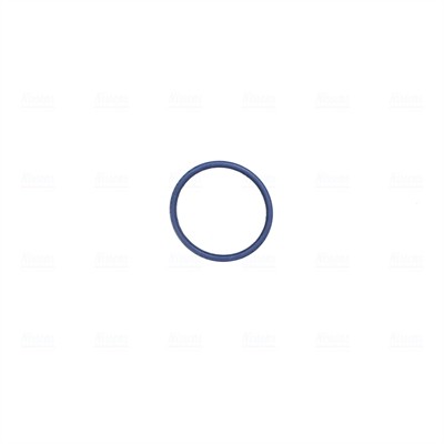 NISSENS 955119 EAN: 5707286547339.