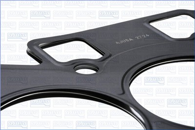 AJUSA 10209100 EAN: 8433577161614.