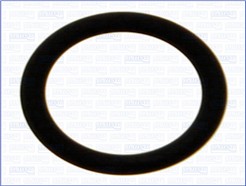 AJUSA 16099700