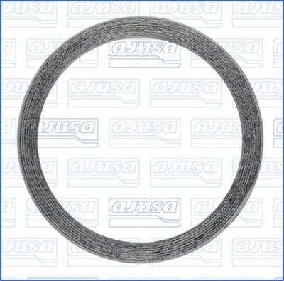 AJUSA 19008100 EAN: 8433577209125.