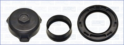 AJUSA 61001500 EAN: 8433577018802.