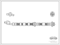 CORTECO 19032855