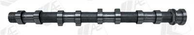 AE CAM1058