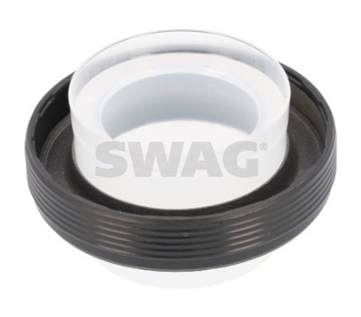 SWAG 30 93 8238 EAN: 4044688382382.