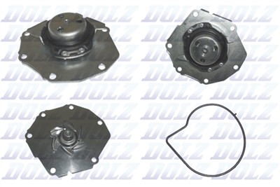 DOLZ V212 EAN: 8430632551830.