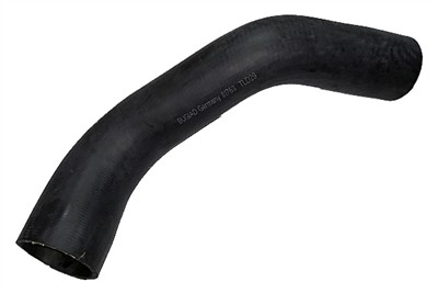 BUGIAD 81763 EAN: 4043193817631.