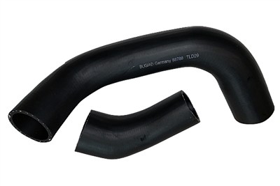 BUGIAD 88788 EAN: 4043193887887.