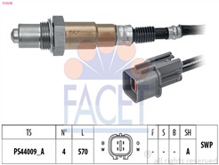 FACET 10.8346