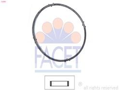 FACET 7.9701