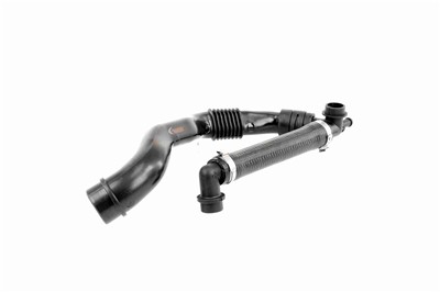 VAICO V10-0774 EAN: 4046001524189.