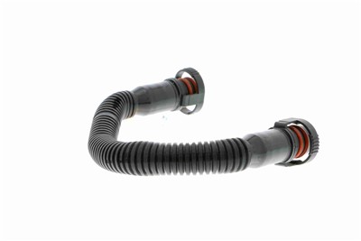 VAICO V10-0995 EAN: 4046001548536.