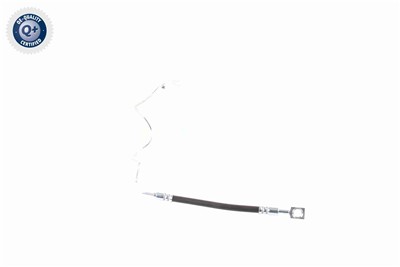 VAICO V10-1904 EAN: 4046001478918.