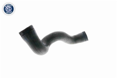 VAICO V10-3141 EAN: 4046001629426.