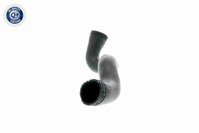 VAICO V10-3141 EAN: 4046001629426.