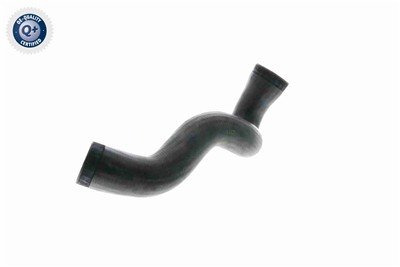 VAICO V10-3141 EAN: 4046001629426.