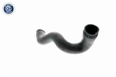 VAICO V10-3141 EAN: 4046001629426.