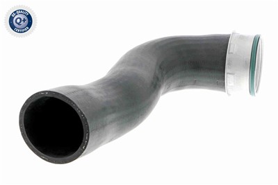 VAICO V10-3769 EAN: 4046001688225.