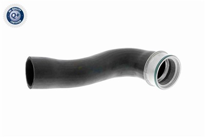 VAICO V10-3769 EAN: 4046001688225.