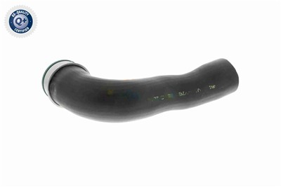 VAICO V10-3769 EAN: 4046001688225.