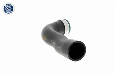 VAICO V10-3769 EAN: 4046001688225.