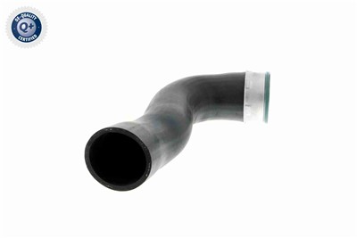 VAICO V10-3769 EAN: 4046001688225.