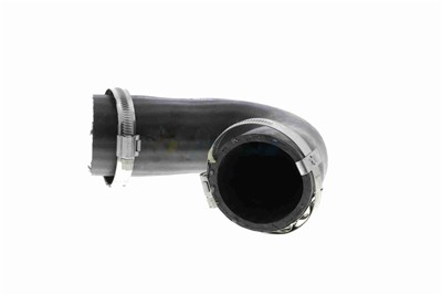 VAICO V10-3808 EAN: 4046001688652.