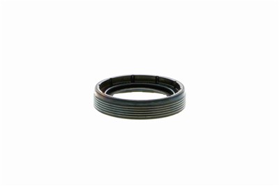 VAICO V10-3874 EAN: 4046001694851.