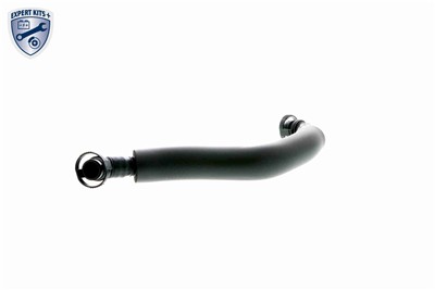 VAICO V10-3880 EAN: 4046001695483.