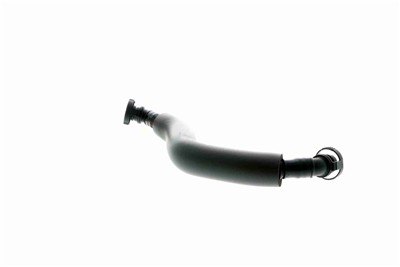 VAICO V10-3880 EAN: 4046001695483.