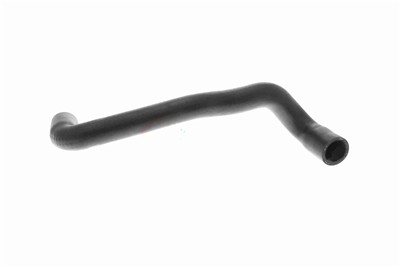 VAICO V10-4810 EAN: 4046001845673.