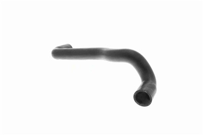 VAICO V10-4810 EAN: 4046001845673.