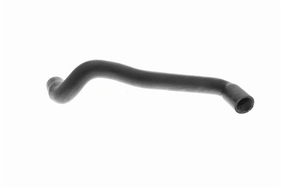 VAICO V10-4810 EAN: 4046001845673.