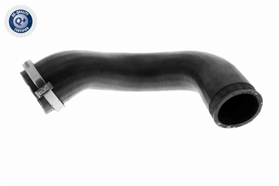 VAICO V10-4816 EAN: 4046001845765.