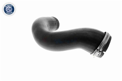 VAICO V10-4816 EAN: 4046001845765.