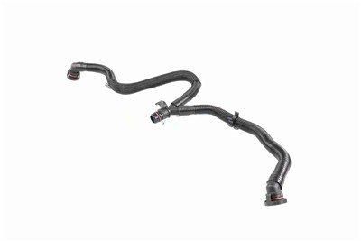 VAICO V10-5456 EAN: 4062375135622.