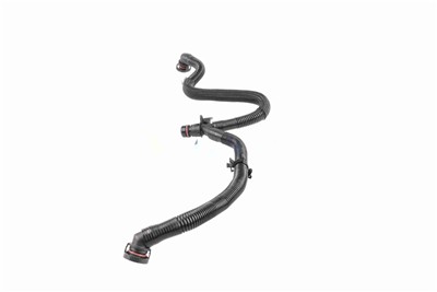 VAICO V10-5456 EAN: 4062375135622.