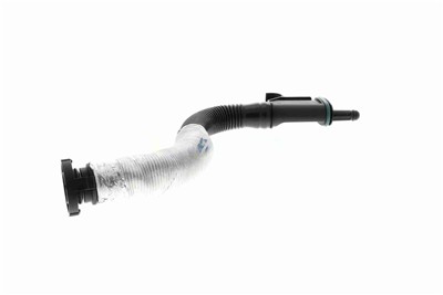 VAICO V10-5579 EAN: 4062375159277.