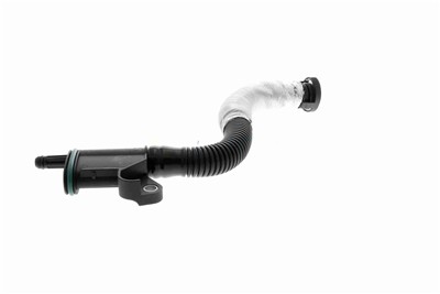 VAICO V10-5579 EAN: 4062375159277.