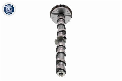 VAICO V10-5585 EAN: 4062375159871.