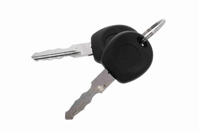 VAICO V10-6143 EAN: 4046001302978.