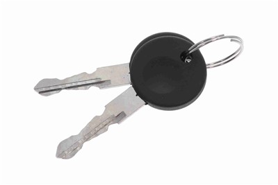 VAICO V10-6145 EAN: 4046001302992.