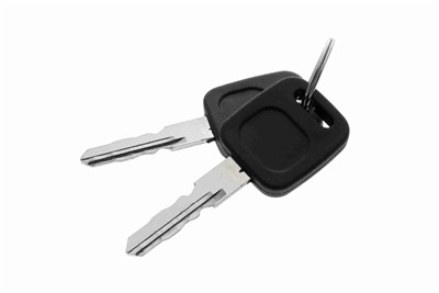 VAICO V10-6159 EAN: 4046001303135.