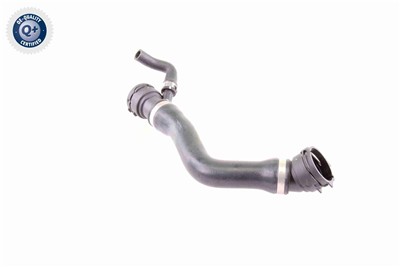 VAICO V20-1331 EAN: 4046001513534.