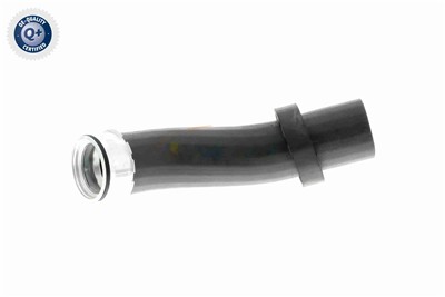 VAICO V20-1619 EAN: 4046001604256.