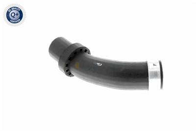 VAICO V20-1619 EAN: 4046001604256.