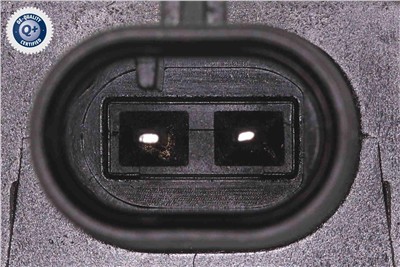 VAICO V20-3666 EAN: 4062375166411.