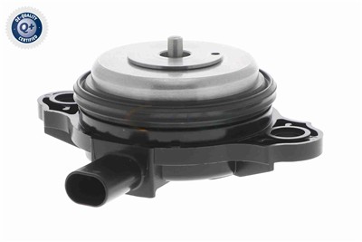 VAICO V20-3666 EAN: 4062375166411.